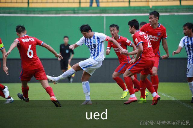 ued公司介绍图片